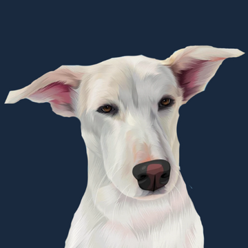 Vector Portraits