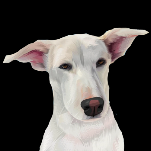 Custom Vector Portrait