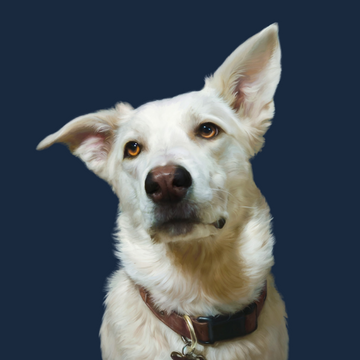 Custom Realistic Portrait